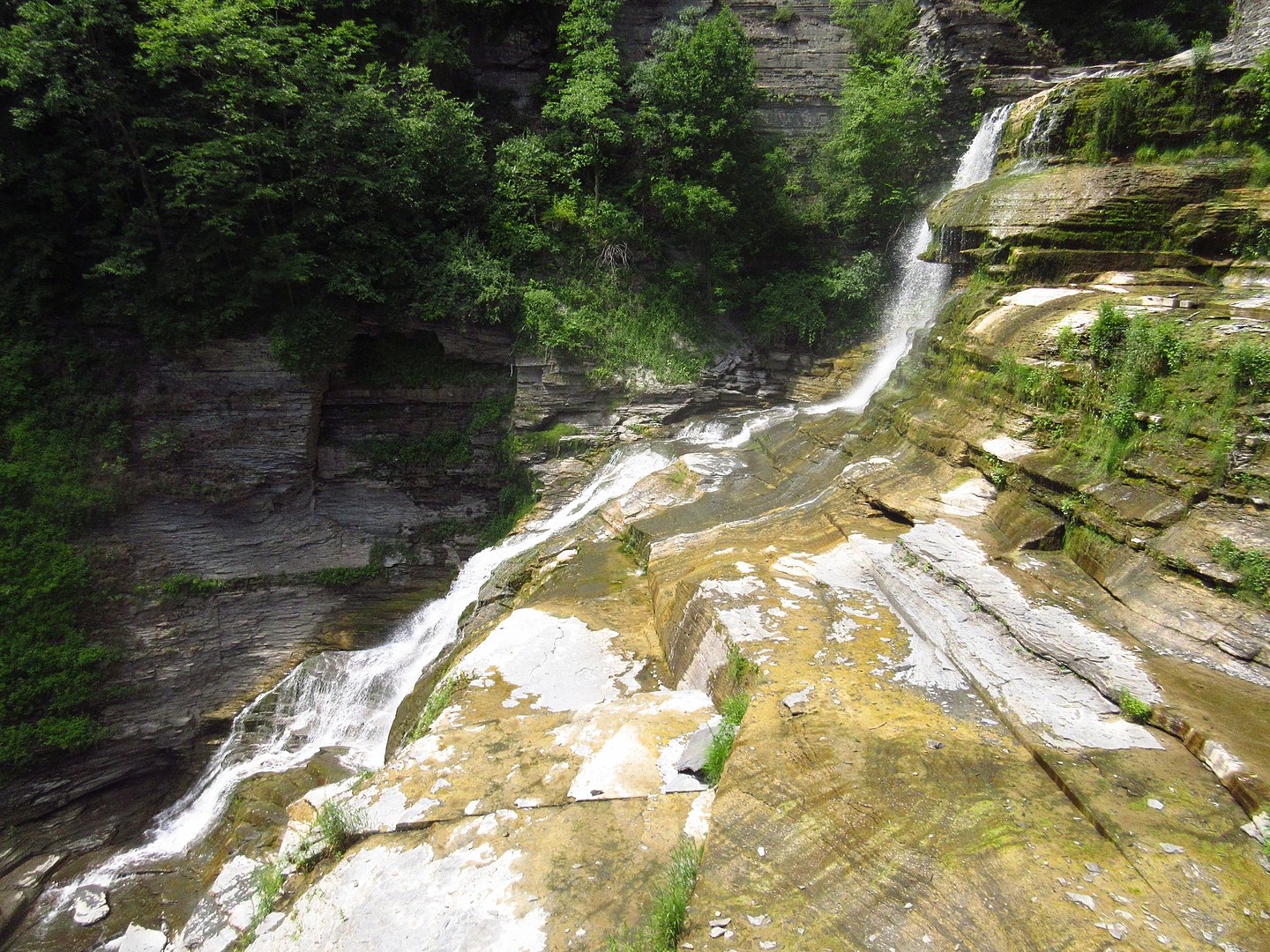 Robert H Treman State Park - Adventure Van - Road Trip