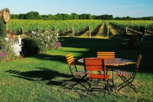 Finger Lakes Wine Trail