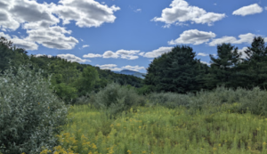 Kenneth L. Wilson Campground